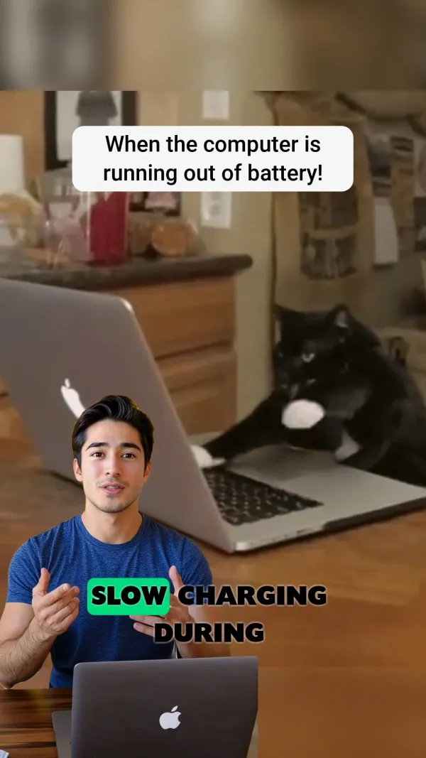 Typing Cat Meme